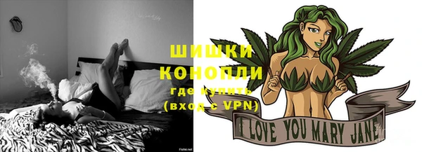 гашик Дмитриев