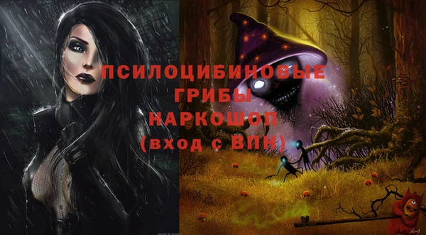 гашик Дмитриев