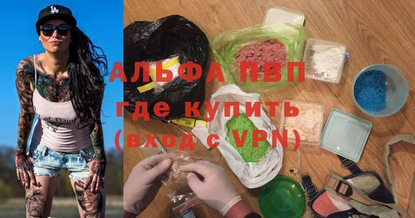 гашик Дмитриев