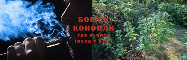 гашик Дмитриев