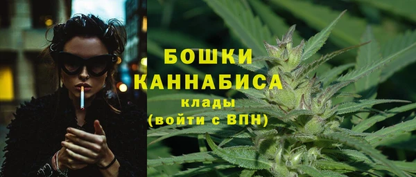 амф Дмитровск