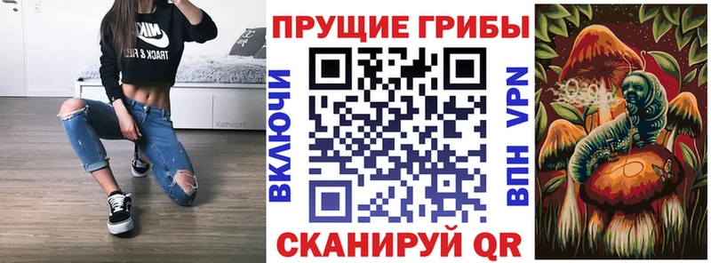 Псилоцибиновые грибы мухоморы  Купить закладки  Сасово 